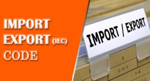 Guidelines for Submitting Import Export code application