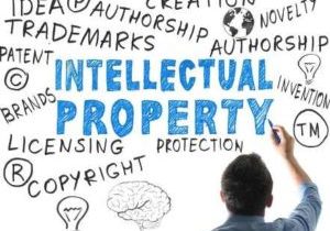 Intellectual Property Consultants Kochi